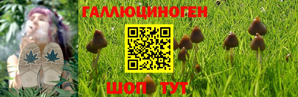 Псилоцибиновые грибы MAGIC MUSHROOMS  Псилоцибиновые грибы Magic Shrooms  Вход с VPN  Асбест 