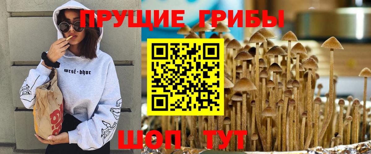 Псилоцибиновые грибы ЛСД Асбест